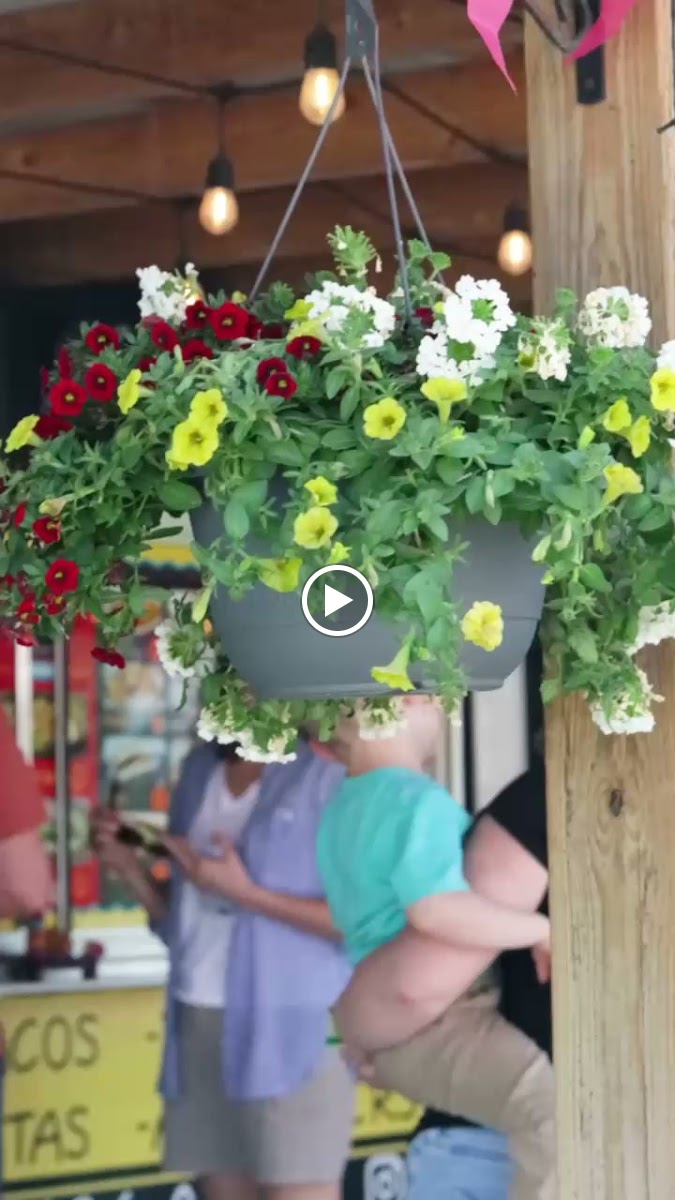 Greta’S Taco Wagon-2